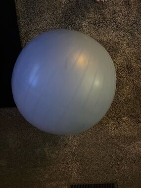 55” Stability Ball with pump, Disc slides and large Bosu Exercise band.